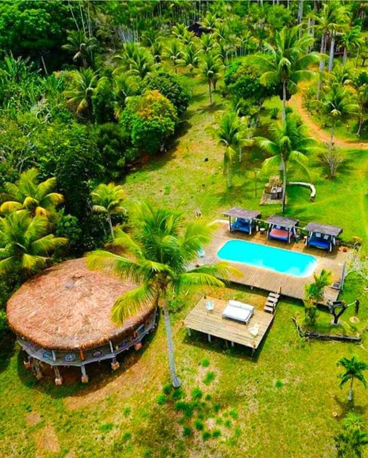 Art Jungle Eco 2*
