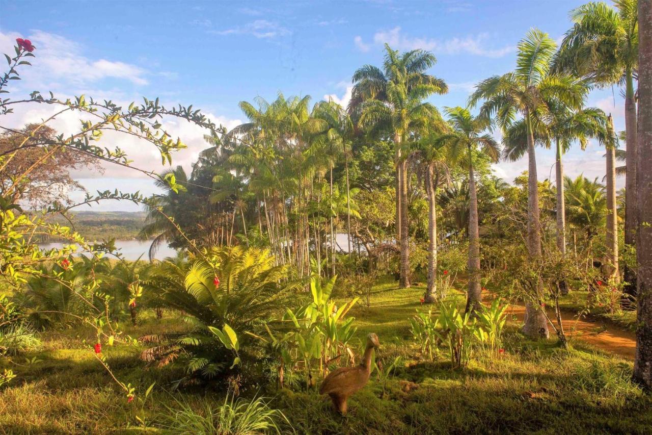 Art Jungle Eco Guest house