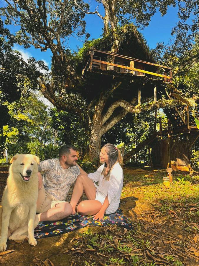Art Jungle Eco Guest house