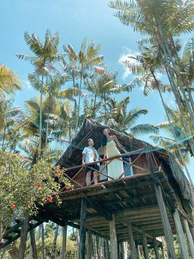 Art Jungle Eco